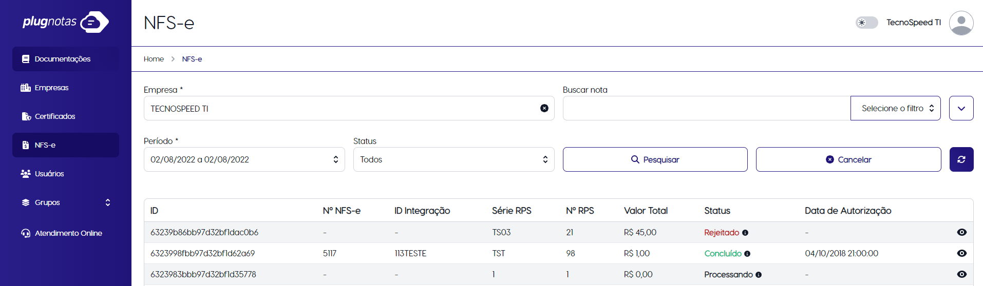 Visualização da NFS-e