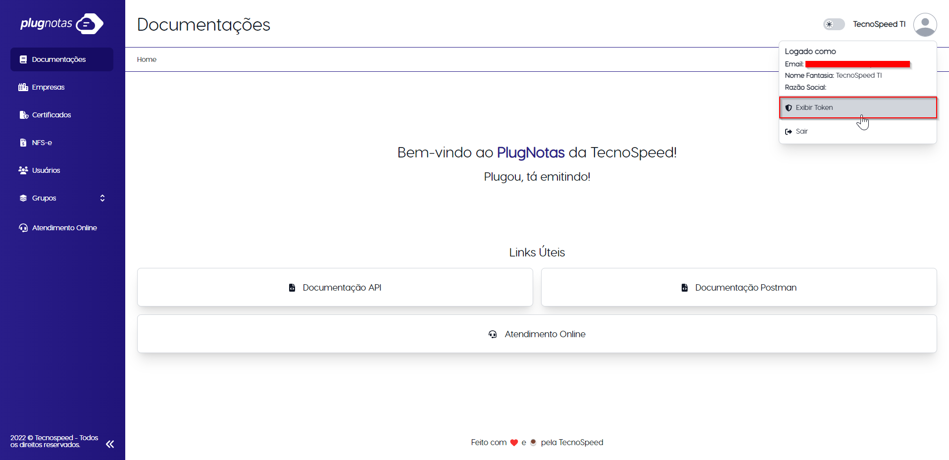 Exibição do token